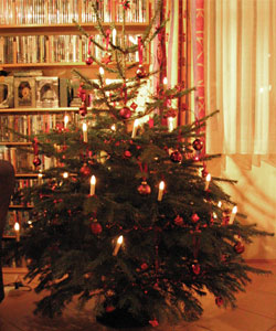 tannenbaum01.jpg