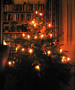 tannenbaum02.jpg