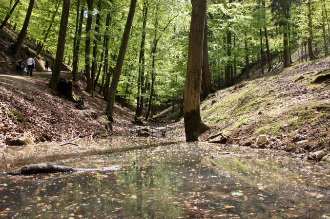 hundshaupten-landschaft