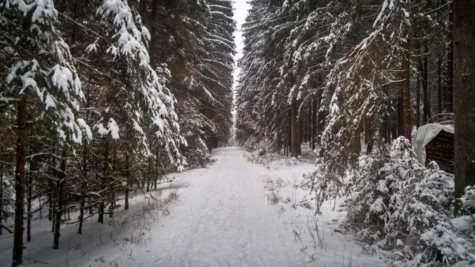 run-fatboy-run-409-1