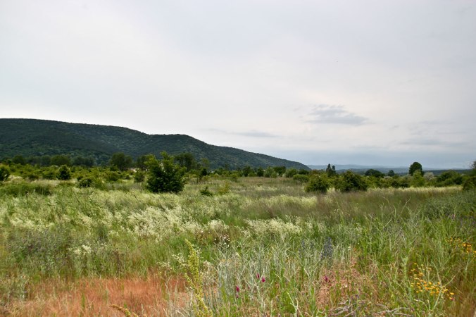 Grüne Wiese in Obzor, Bulgarien