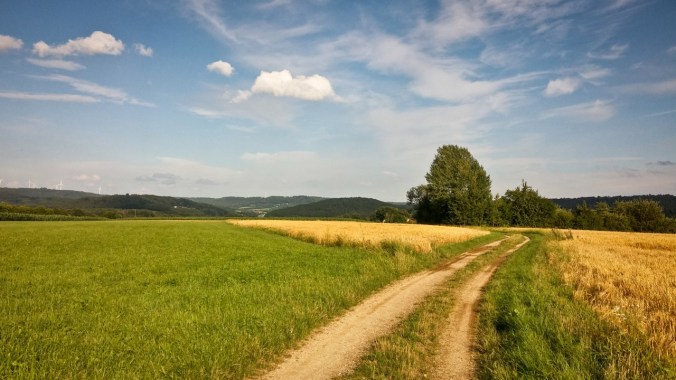 Run, Fatboy, Run 444: Ein Lauf in den Sonnenuntergang.