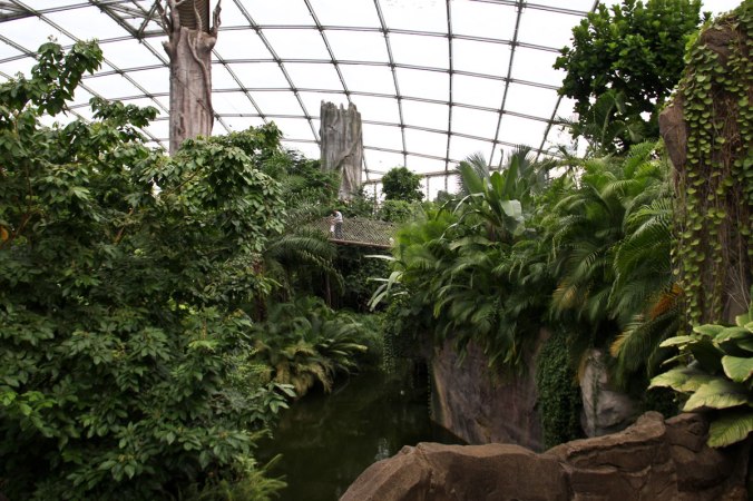 Beeindruckende Ausmaße: Das Gondwanaland im Leipziger Zoo.