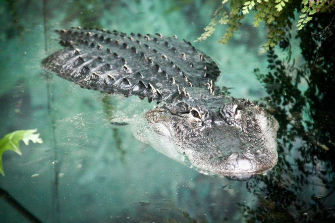 Die Gefahr lauert überall...