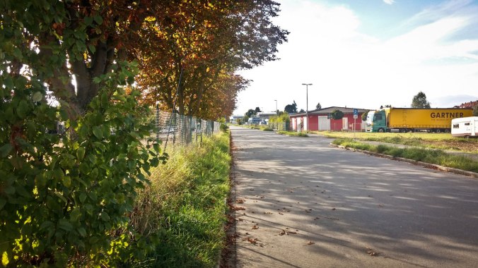 Run, Fatboy, Run (456): Ein Lauf in den Herbst...