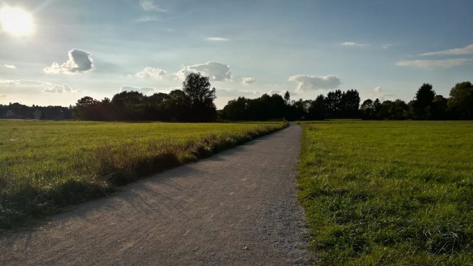 Run, Fatboy, Run (457)