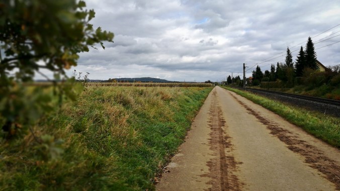 Run, Fatboy, Run (462): Ein Lauf durch herbstliches Wetter...