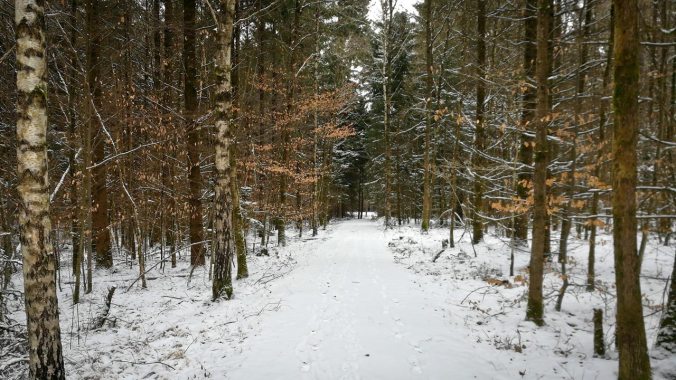 Im Schnee sieht man die Ostereier wenigstens besser...