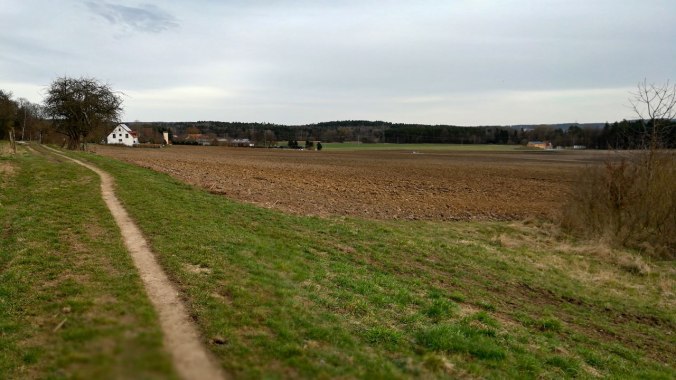 Fast schon ein kleiner Trail... :)