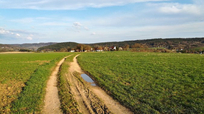 Ein sonniger Lauf am Abend...