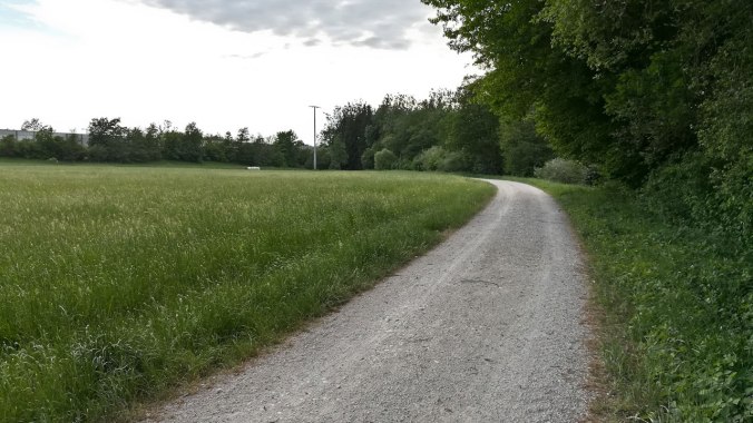 Der einzige flache Teilabschnitt der Strecke