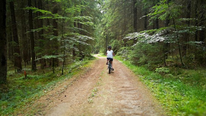 Auch der Wald hat kaum Abkühlung gebracht...