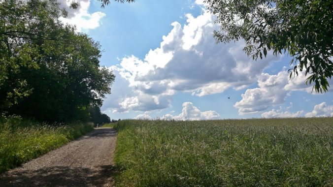 Viel zu viel Sonne, viel zu heiß...