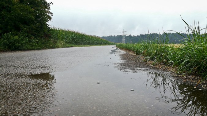 Vielleicht hätte ich lieber schwimmen gehen sollen?