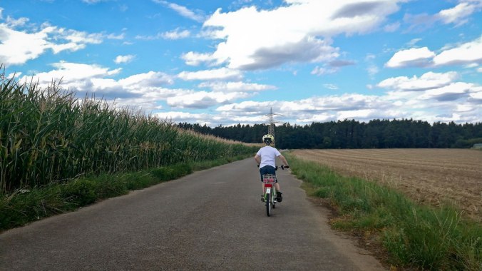 Der Zwergofant ist (fast) immer schneller...