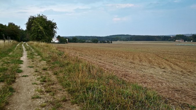 Der Blick schweift wehmütig über die Felder...