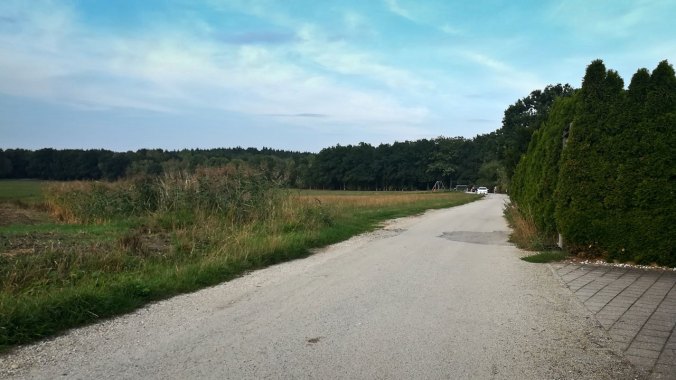 Meine altbekannte Winterlaufrunde, nur im Spätsommer...