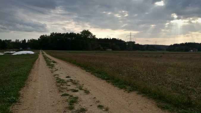 Ein einsamer Läufer durch Wald und Flur...