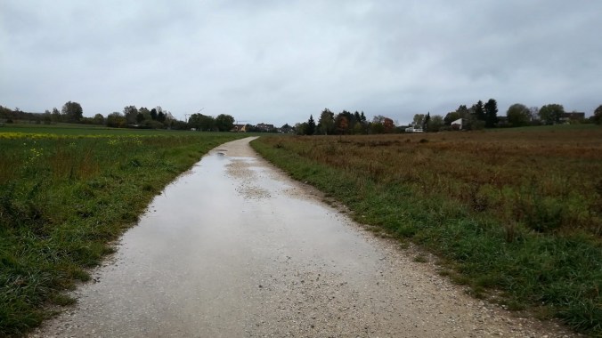 Nass, kalt und windig... egal, Hauptsache Laufen! :)