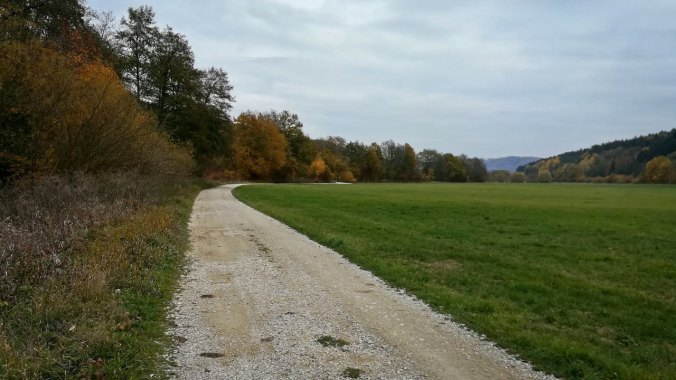 Herbstfarben bilden den Kontrast zum grauen Himmel...