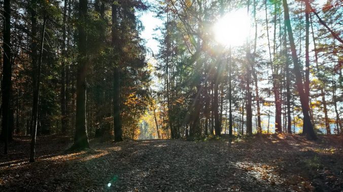 Perfektes Laufwetter im November
