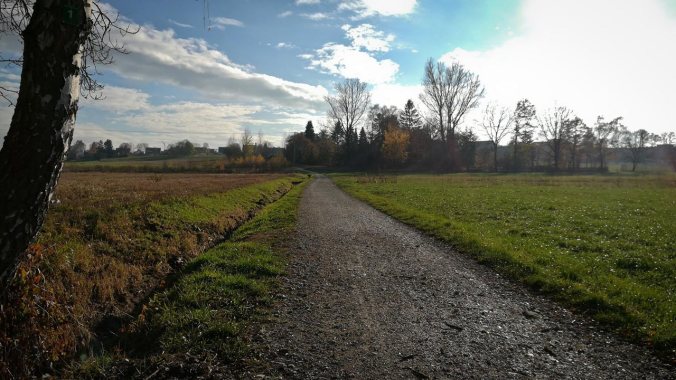 Herrlichstes Laufwetter im November... :)