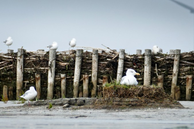 "Na, was guckst du so?"