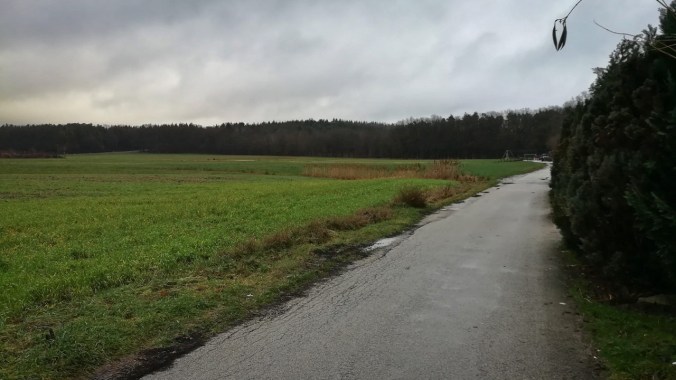 Ein weiterer verregneter Lauf...