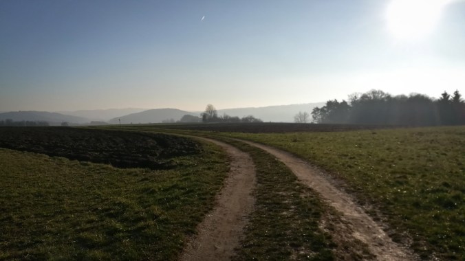 Ein Lauf über die gefrorenen Felder