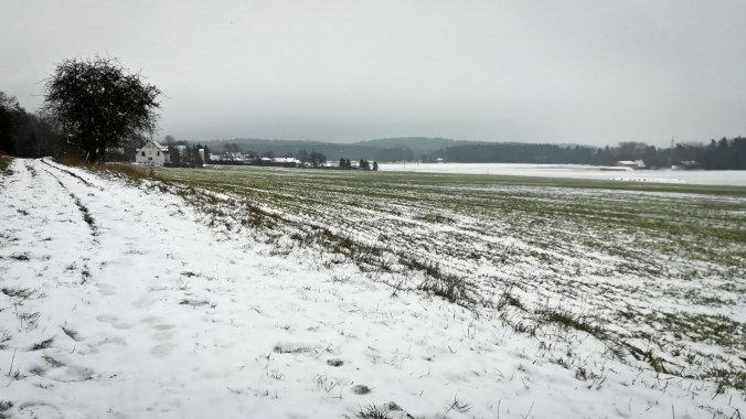 Grau, grün, weiß – eine sehr eingeschränkte Farbpalette...