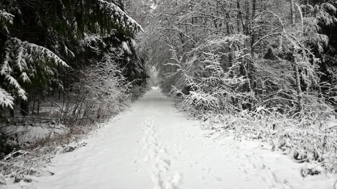 Hätte ich mal lieber Schneeschuhe angezogen...