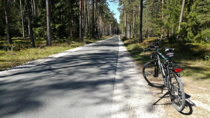 Heute mal den Wald erkundet...