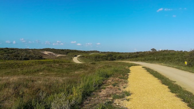 Ein Lauf durch die Dünen