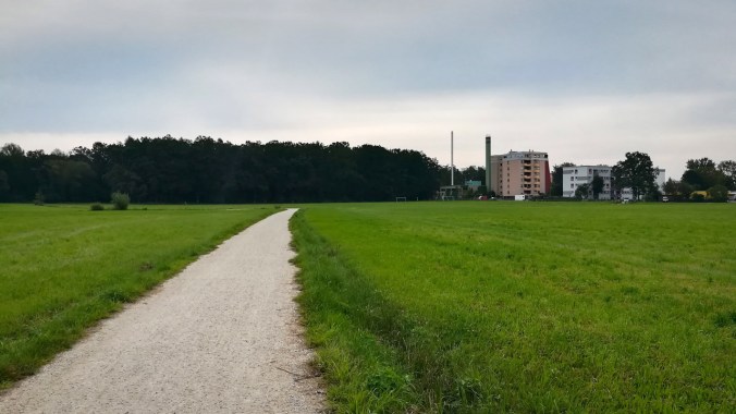 Ein Lauf in altbekannter Umgebung