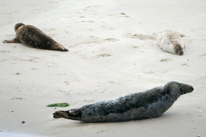 ...des Rundfahrtschiffes nicht stören lassen