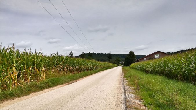 Endlich wieder diese altbekannte Strecke gelaufen