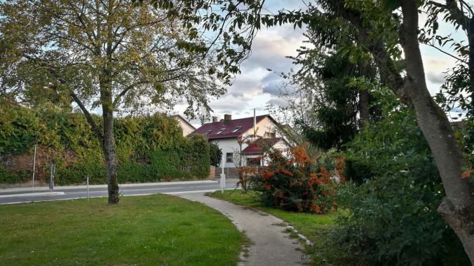 Die letzten Sonnenstrahlen des Tages genießen...