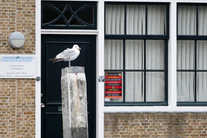 Die obligatorische Möwe darf natürlich nicht fehlen!