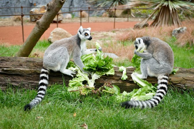 ...und hier endlich etwas Essbares gefunden!