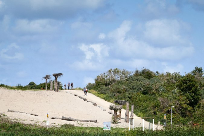 Der idyllische Aufgang in die Dünen bis zum Strand