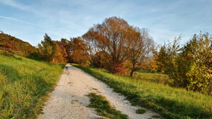 Ein Lauf durch den Indian Summer