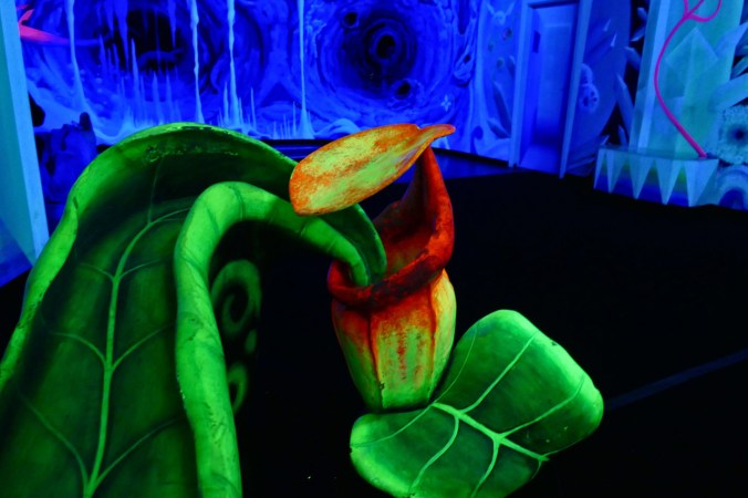 Hilfe, eine Monsterpflanze!