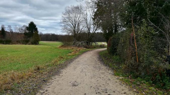 Nass und grau, aber immerhin nicht zu kalt