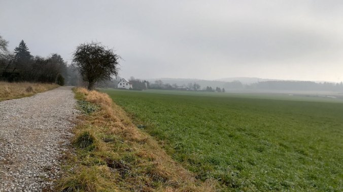 Ein lauf durch die nebelige Kälte