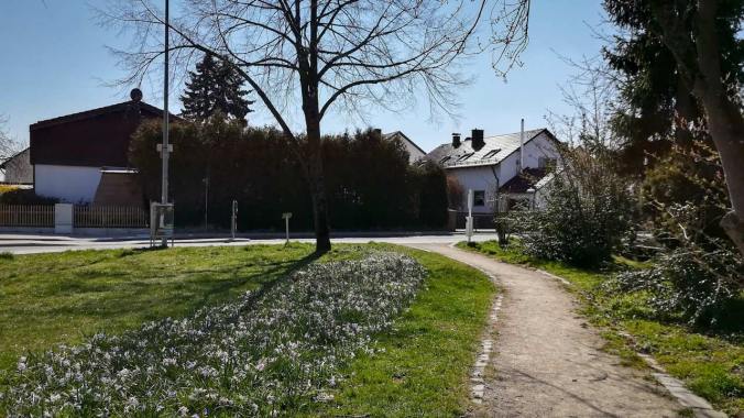 Ein schneller Mittagslauf in der Sonne