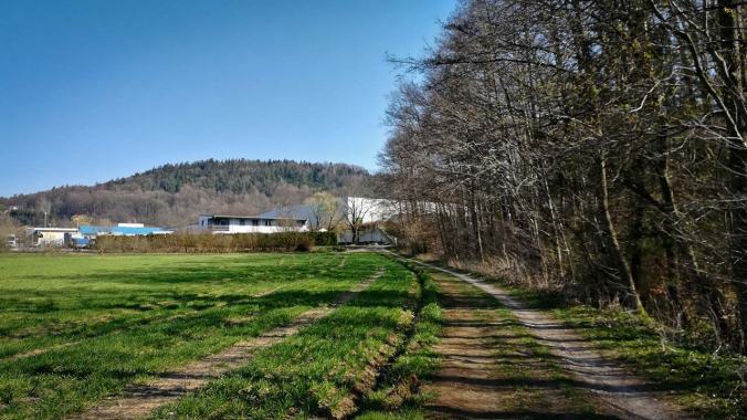 Herrlichstes Laufwetter und eine neue Strecke