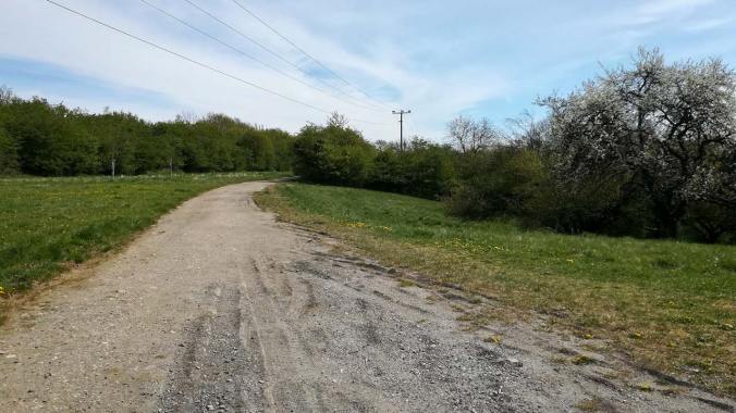 Eine schnelle Mittagsrunde über die Felder