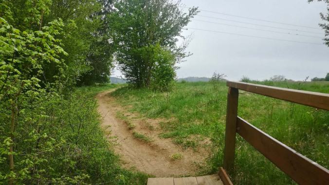 Heute ein wenig mehr Trail-Lauf als sonst