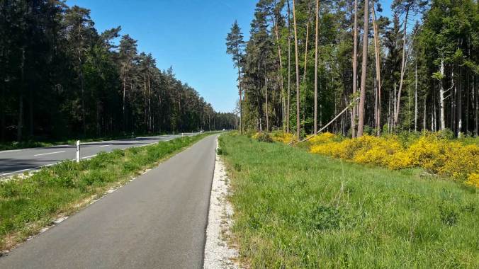 Bestes Laufwetter für einen Halbmarathon