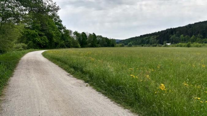 Heute war das Wetter sehr drückend und schwül. Puh!